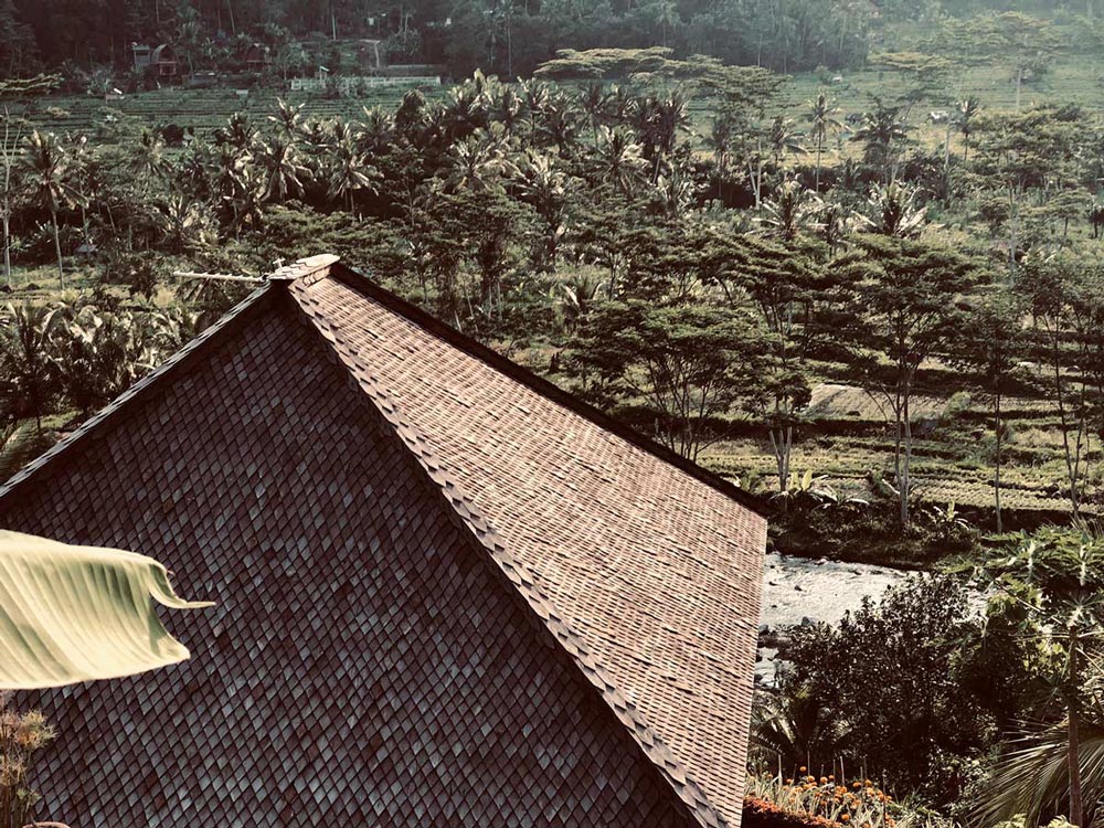 A view over the rooftops in Bali. Rice fields galore.